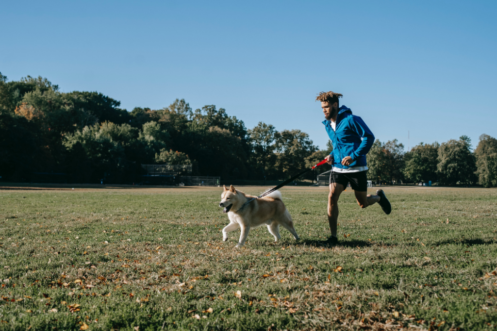 走っている犬と男性の画像